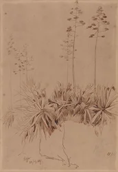 Reggio